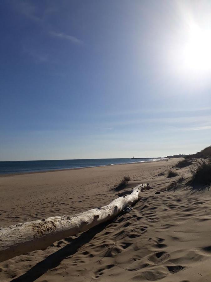 Studio Naturiste Venus Panoramic View Agde Exterior foto